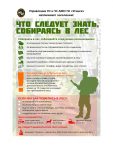 Что следует знать собираясь в лес