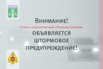 Штормовое