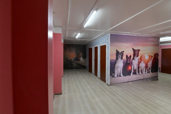 VLD_3546