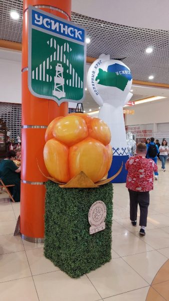 ВДС5