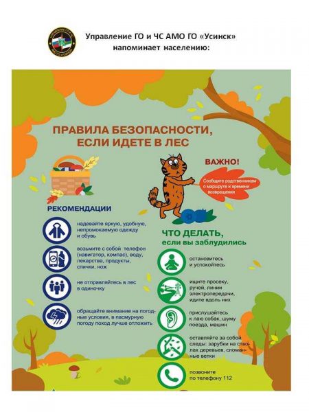 3.Лес(19.11.22)